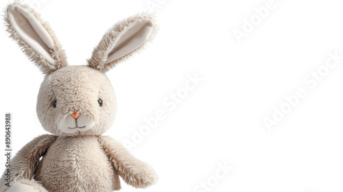 Plush bunny transparent background