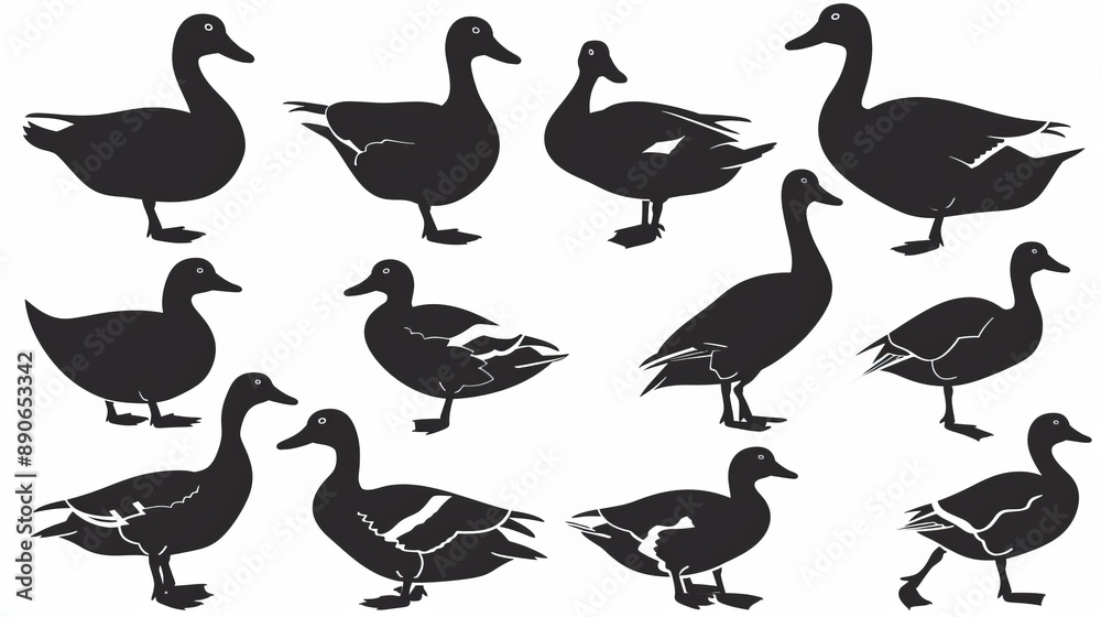 Black silhouettes of ducks are depicted in different poses and positions, showing a variety of perspectives and body movements. This is perfect for animal-themed designs. Black silhouettes of ducks are depicted in different poses and positions, showing a variety of perspectives and body movements. This is perfect for animal-themed designs.
