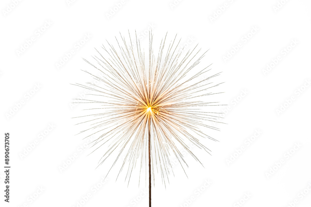 Obraz premium Dandelion Seeds with Light