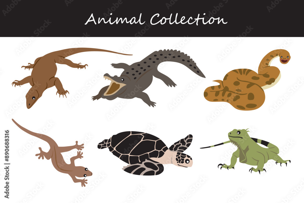 Animals collection. Flat style vector illustration. Animals collection. Flat style vector illustration.