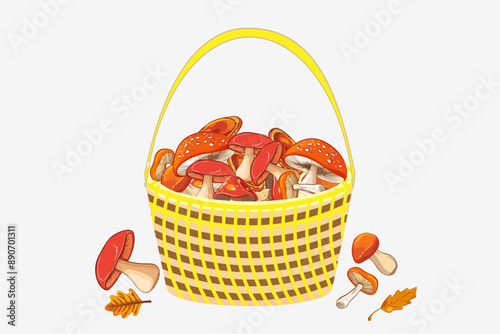 Forest mushrooms in a basket. Concept of autumn, leaf fall, harvest, Thanksgiving.