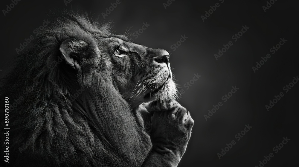 A monochrome image depicts a majestic lion with its paw covering its mouth, gazing upward A monochrome image depicts a majestic lion with its paw covering its mouth, gazing upward