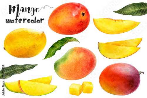 Watercolor illustration of mango with slices, cubes, and leaves on white backdrop, detailed botanical artistry. PNG
