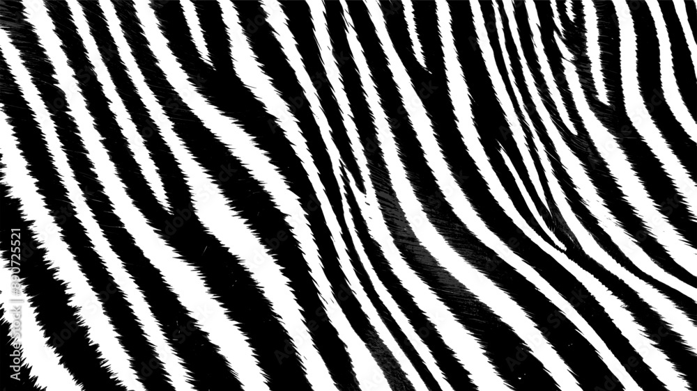 zebra skin pattern - black and white (artwork 2) zebra skin pattern - black and white (artwork 2)