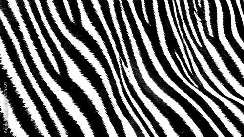 zebra skin pattern - black and white (artwork 2)