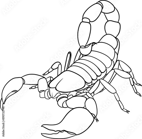 Scorpion, vector outline illustration of a scorpion