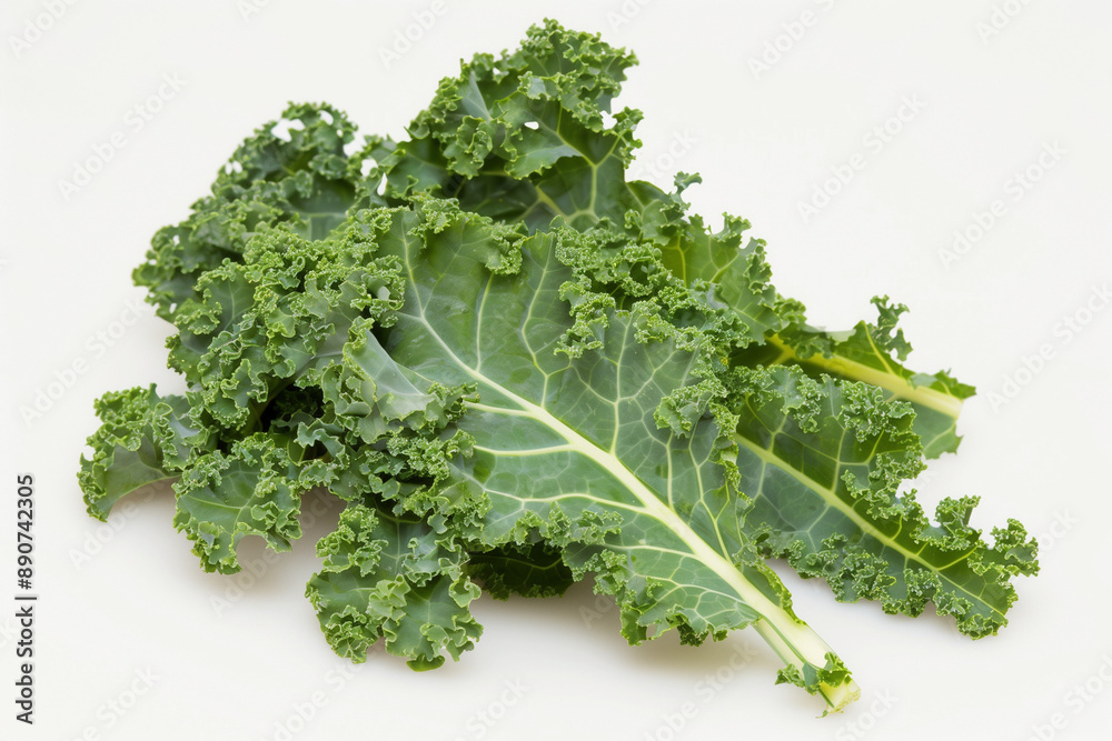 Fresh Green Kale Leaves Isolated on a White Background Fresh Green Kale Leaves Isolated on a White Background