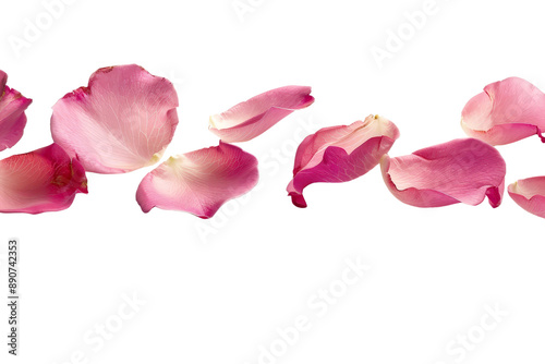 Bright pink rose petals floating in mid-air, isolated on a clean white background, showcasing their delicate texture and vibrant hue