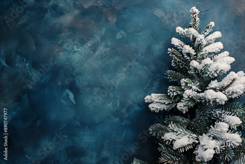 A snow covered pine tree is standing in front of a blue wall.