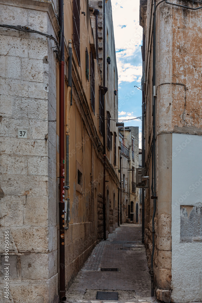 Fototapeta premium The city of AltaMura in Italy