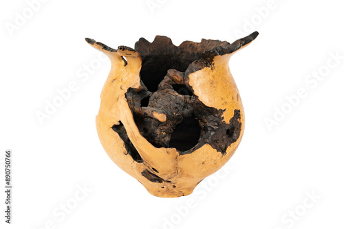 skeleton of a skull on a white background