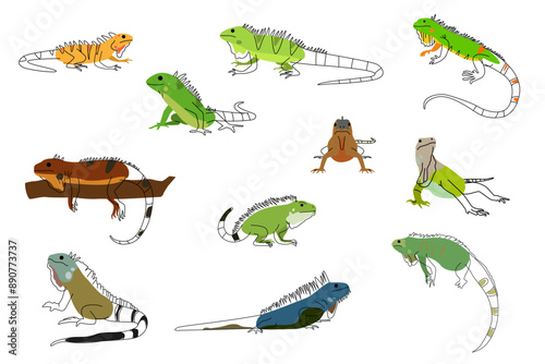 Cute Iguana Pet Icons Vector Illustration