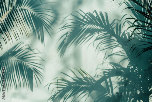 Palm leaves casting shadows on a light background, evoking a tropical and peaceful mood