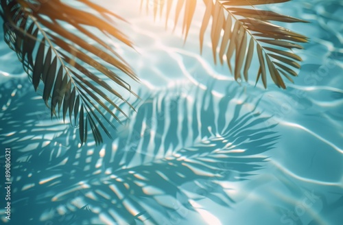 Palm Fronds Casting Shadows on Pool Water During Sunny Day