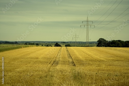 pylons in the field