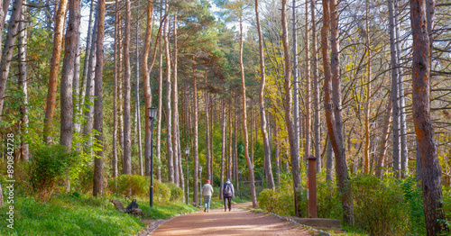 Obraz na płótnie An elderly couple walks in the autumn park w salonie