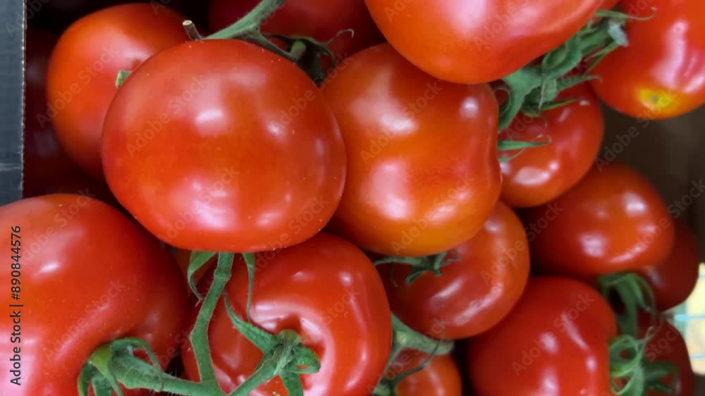 Cluster red tomatoes in crate displayed in supermarket, slider tracking shot in top view