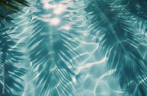 Palm Fronds Casting Shadows on Pool Water During Sunny Day