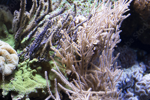 seabed