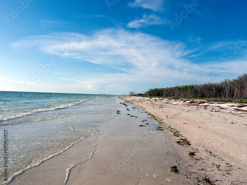 White sand beaches on Honeymoon Island State Park, Tampa Bay, Florida photo