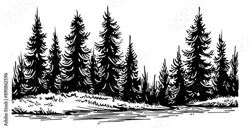 pine forest engraving black and white outline