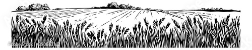 wheat field engraving black and white outline