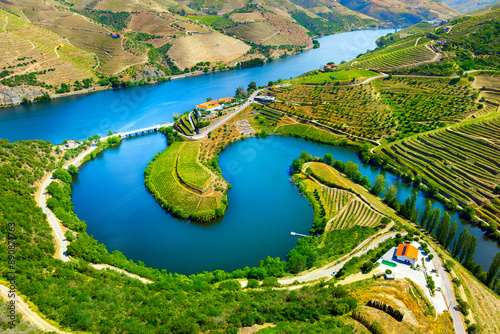 Aerial view of the terraces of the Douro Vineyards on a summer day