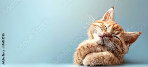 Adorable orange kitten blissfully sleeping with paws crossed, perfect for self-care themes, pet lovers, or social media promotions. Copy space available.