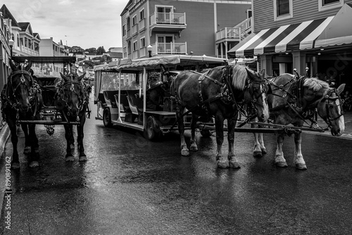 Black-and-white photograph of Mackinac Island, Michigan, featuring horses and carriages traversing the historic streets, capturing the island's timeless charm.