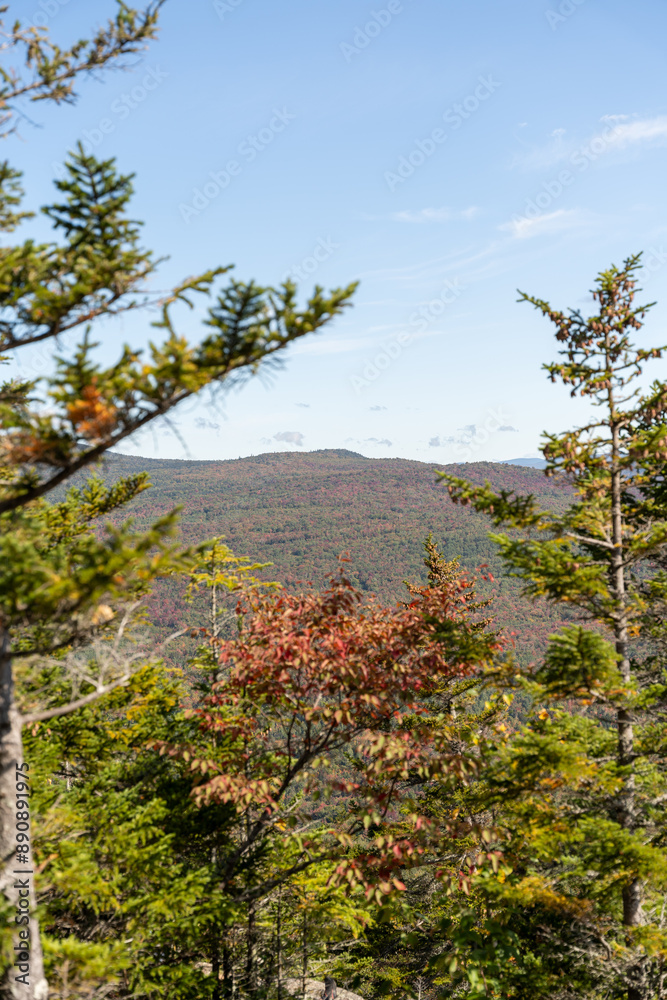 Views overlooking White Mountain National Forest during the beginning of Fall. Views overlooking White Mountain National Forest during the beginning of Fall.