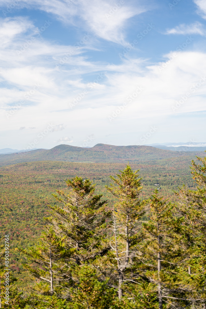 Fototapeta premium Views overlooking White Mountain National Forest during the beginning of Fall.