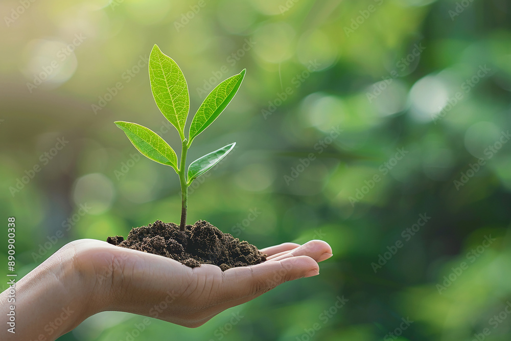 A hand holding a young green plant with soil, set against a blurred natural background, symbolizing growth, nurturing, and environmental conservation. A hand holding a young green plant with soil, set against a blurred natural background, symbolizing growth, nurturing, and environmental conservation.