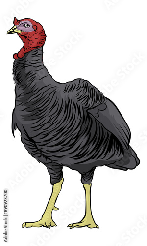 turkey on a separate white background vector