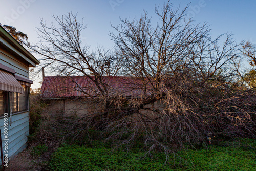 Swan Hill and soround rural Victoria, Australia photo