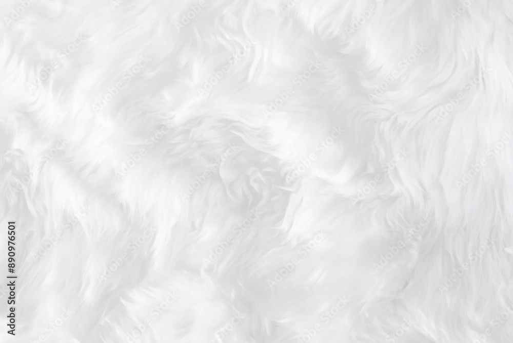 Close-Up of White Sheep Wool Texture, Top View Close-Up of White Sheep Wool Texture, Top View