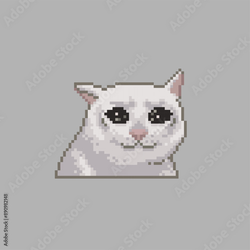 Crying cat, pixel art animal meme