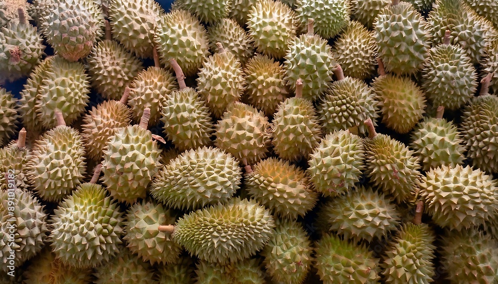 Lots of ripe durian fruit piled up in the background, selling, wallpaper Lots of ripe durian fruit piled up in the background, selling, wallpaper