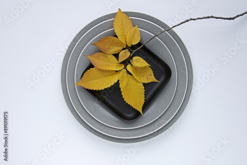 Close up and top angle view of zelkova tree with yellow maple leaf and stem on stacked black and gray ceramic dish and gray floor, South Korea
 photo