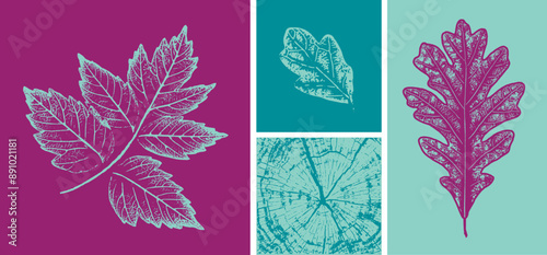  Turquoise, plum, pink, teal botanical leaf illustration elements. Decorative leaves prints or leaf art.