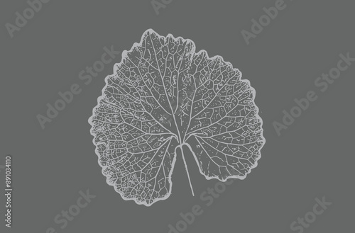 Gray and white leaf print stamp of botanical heart illustration. Plain leaf sketched art background.
