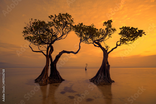 Sunset scenery at Walakiri Beach, Sumba Island, Nusa Tenggara Timur, Indonesia	 photo