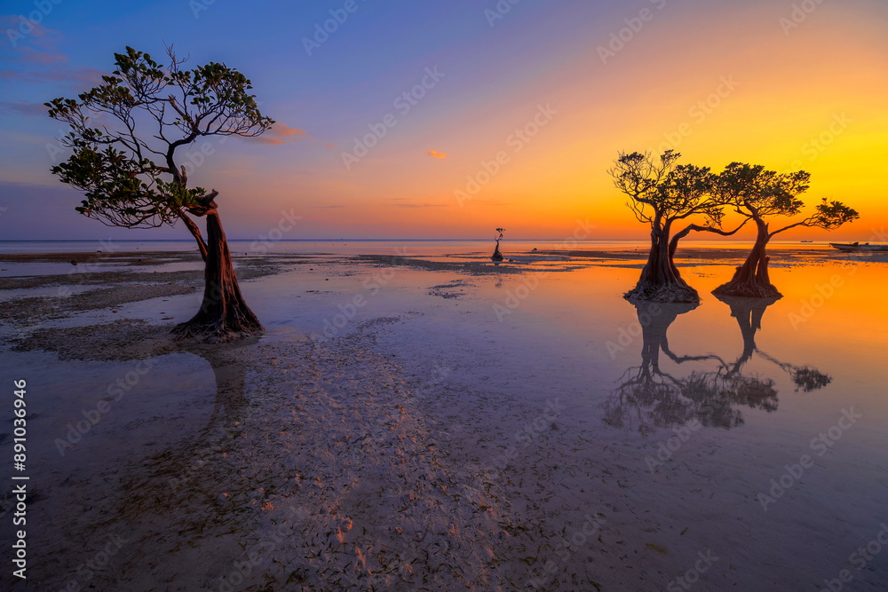 custom made wallpaper toronto digitalSunset scenery at Walakiri Beach, Sumba Island, Nusa Tenggara Timur, Indonesia