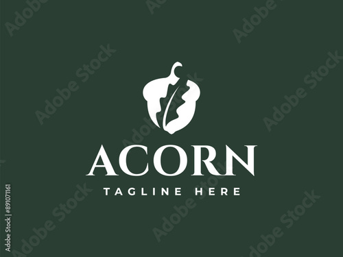 acorn logo vector illustration. acorn with leaf logo template