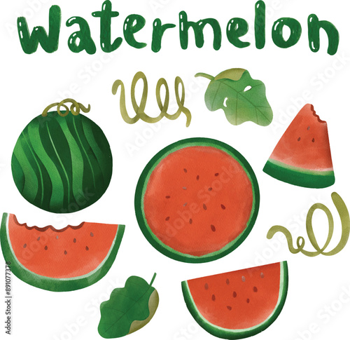 Water melon watercolor painting style element.