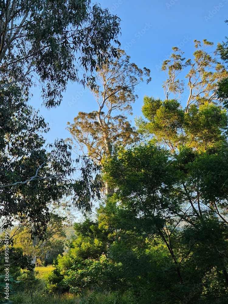 Obraz premium Bendeela Recreation Area in New South Wales Australia