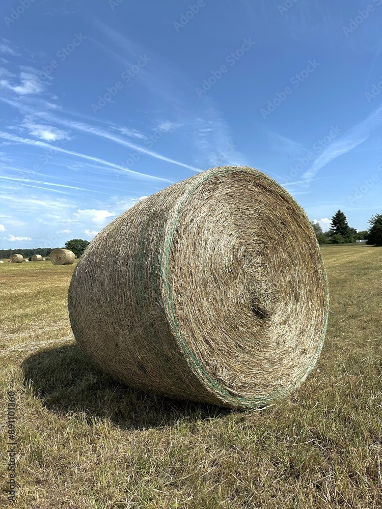 round haystack harvesting hay making round haystack harvesting hay making