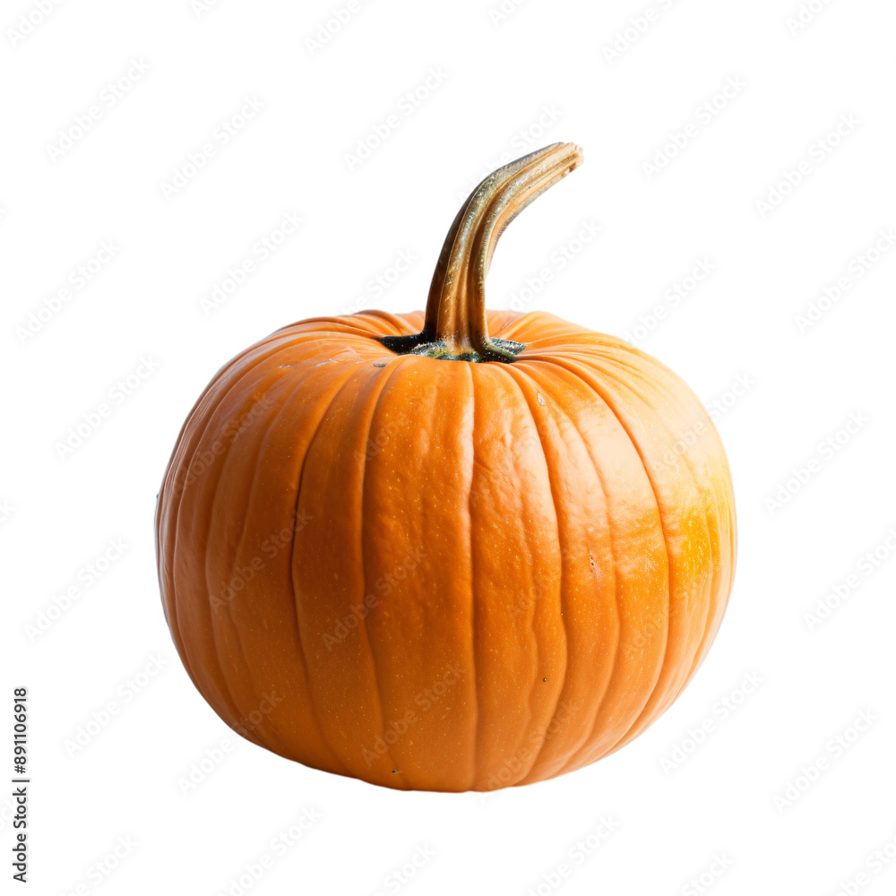 A playful glossy orange pumpkin isolated. A playful glossy orange pumpkin isolated.