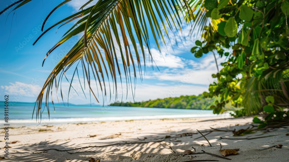 A calm tropical beach with pristine white sand, sun-dappled palm tree leaves, and a backdrop of a bright blue sky. A calm tropical beach with pristine white sand, sun-dappled palm tree leaves, and a backdrop of a bright blue sky.