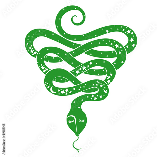 Green Snake Vector  for tattoo design. Snake of mystical magic object moon and stars. Spiritual occultism symbols, esoteric object. Lunar new year 2025. Zodiac sign for greetings card, invitation