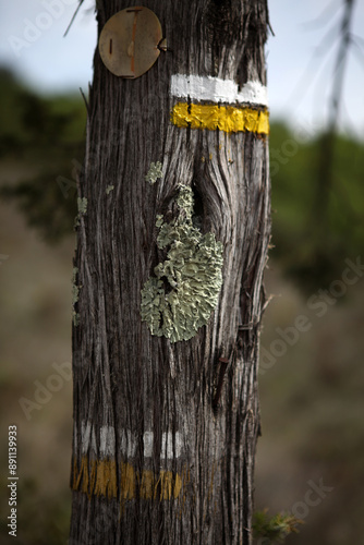 Obraz na płótnie Mark of Petite Randonnee PR trail on a tree - local walking path - around Saint Maurice d'Ardeche - Ardeche - France w salonie